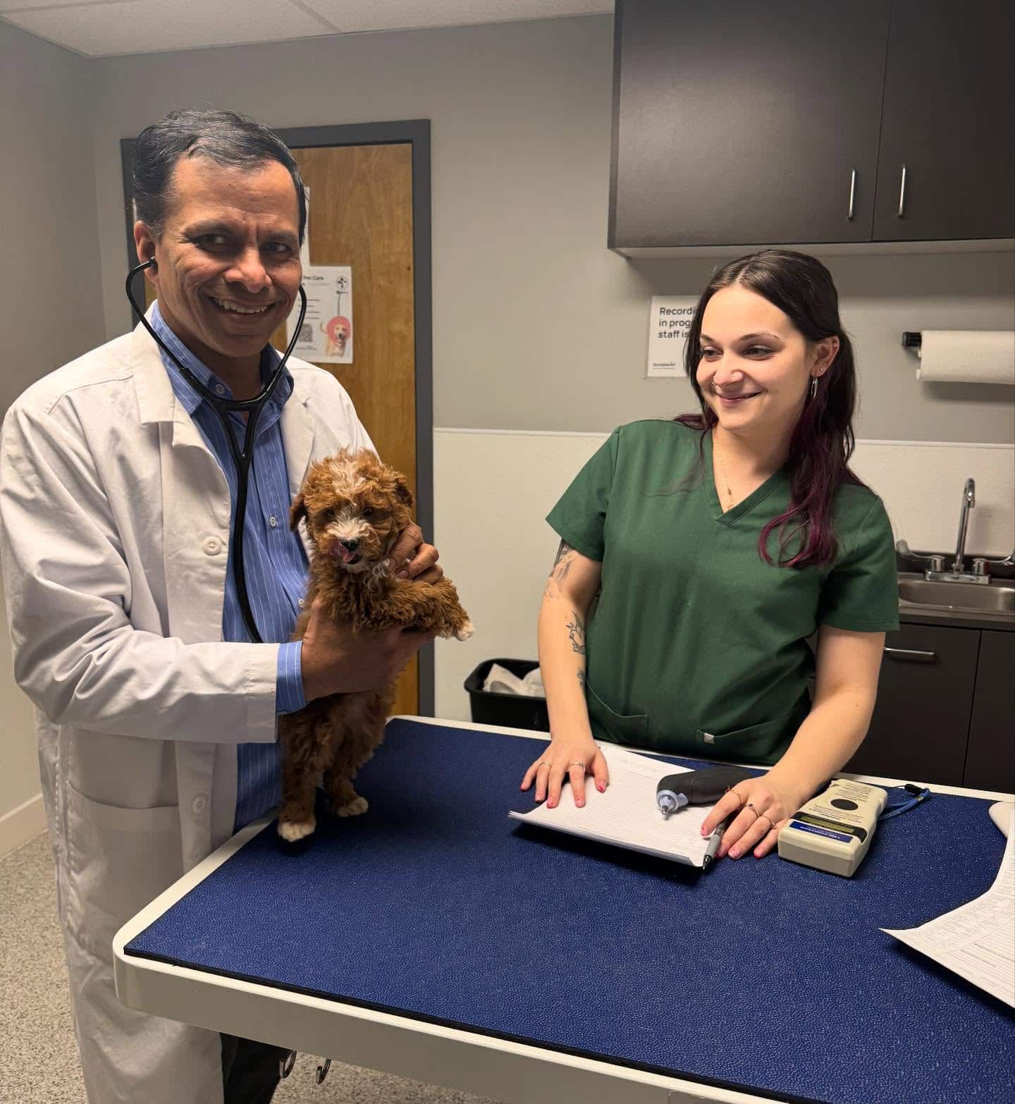 Puppies with Vet