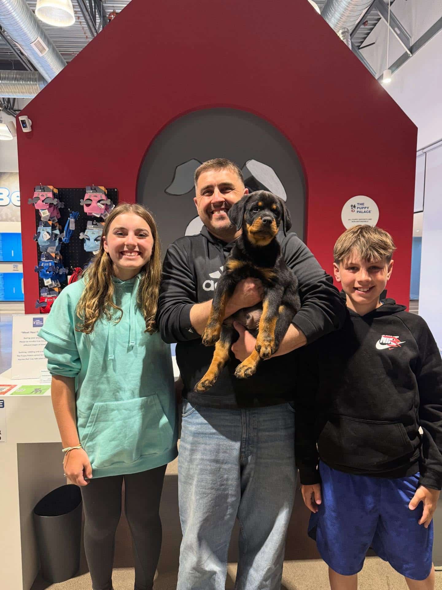 Thor the Rottweiler - The Puppy Palace CT