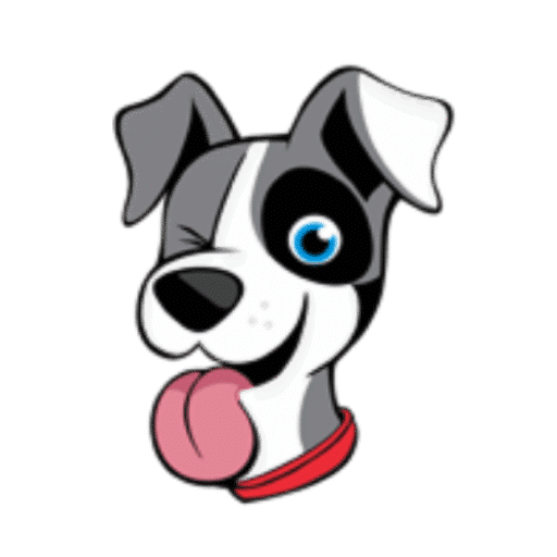 The Puppy Palace CT