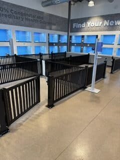 The Puppy Palace CT