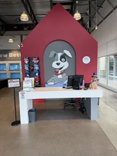 The Puppy Palace CT